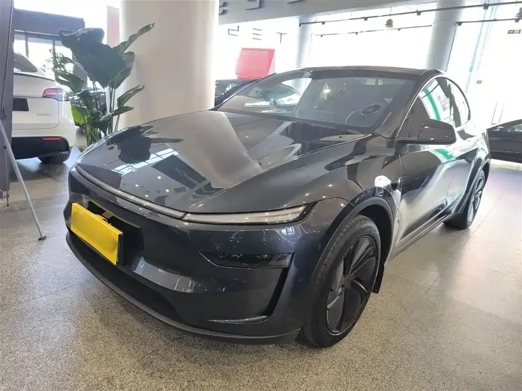 Tesla Model Y 2025 из CN, фото 8