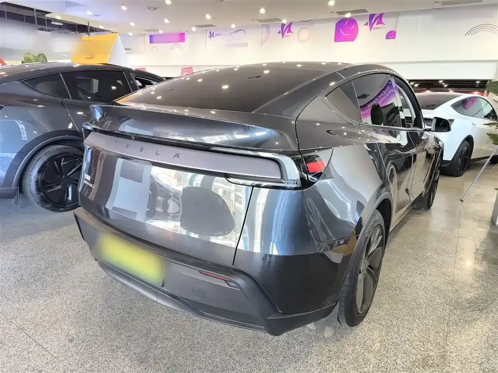 Tesla Model Y 2025 из CN, фото 4
