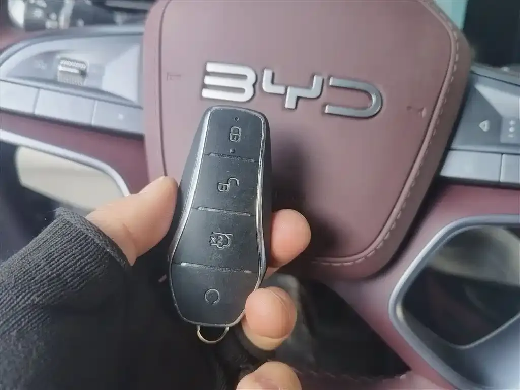 BYD Seal 07 DM-i 2025 из CN, фото 9