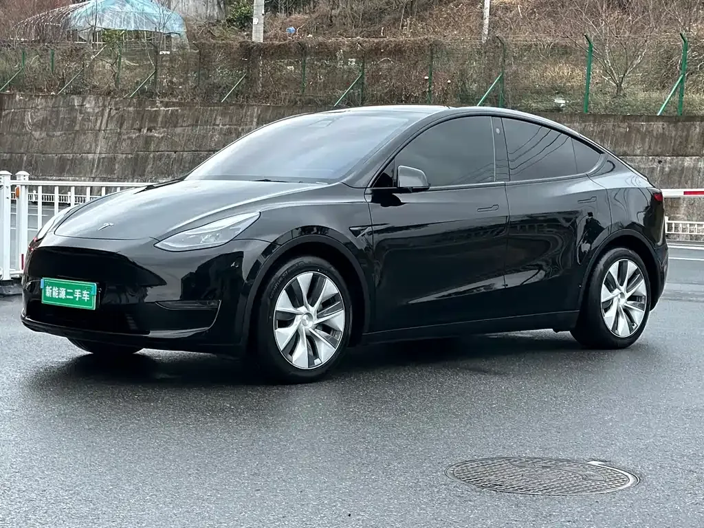 Tesla Model Y 2021 из CN, фото 1