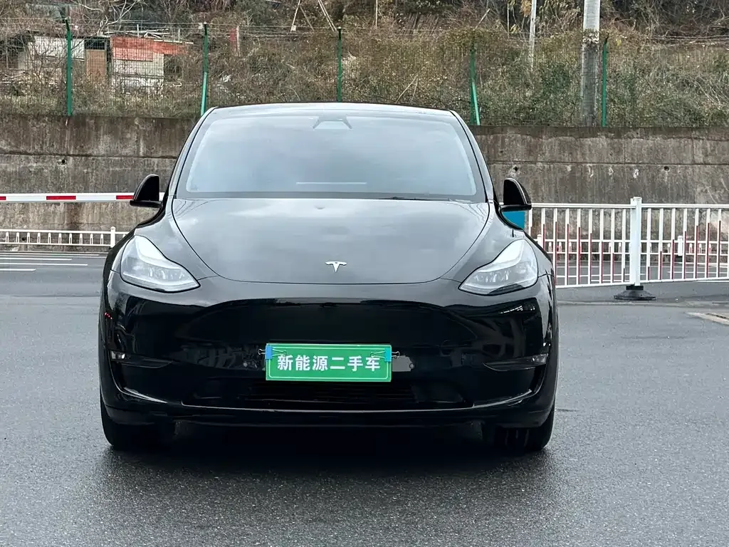 Tesla Model Y 2021 из CN, фото 5