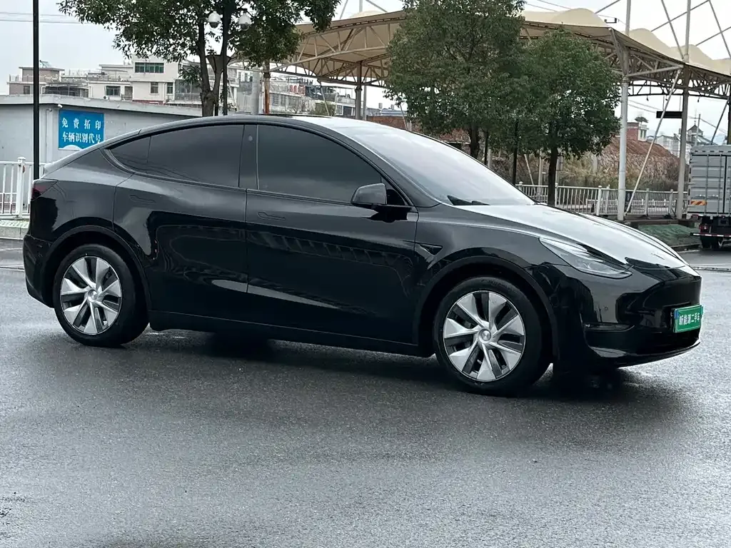 Tesla Model Y 2021 из CN, фото 10