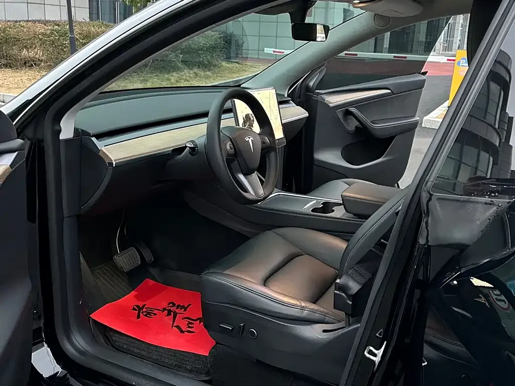 Tesla Model Y 2021 из CN, фото 9
