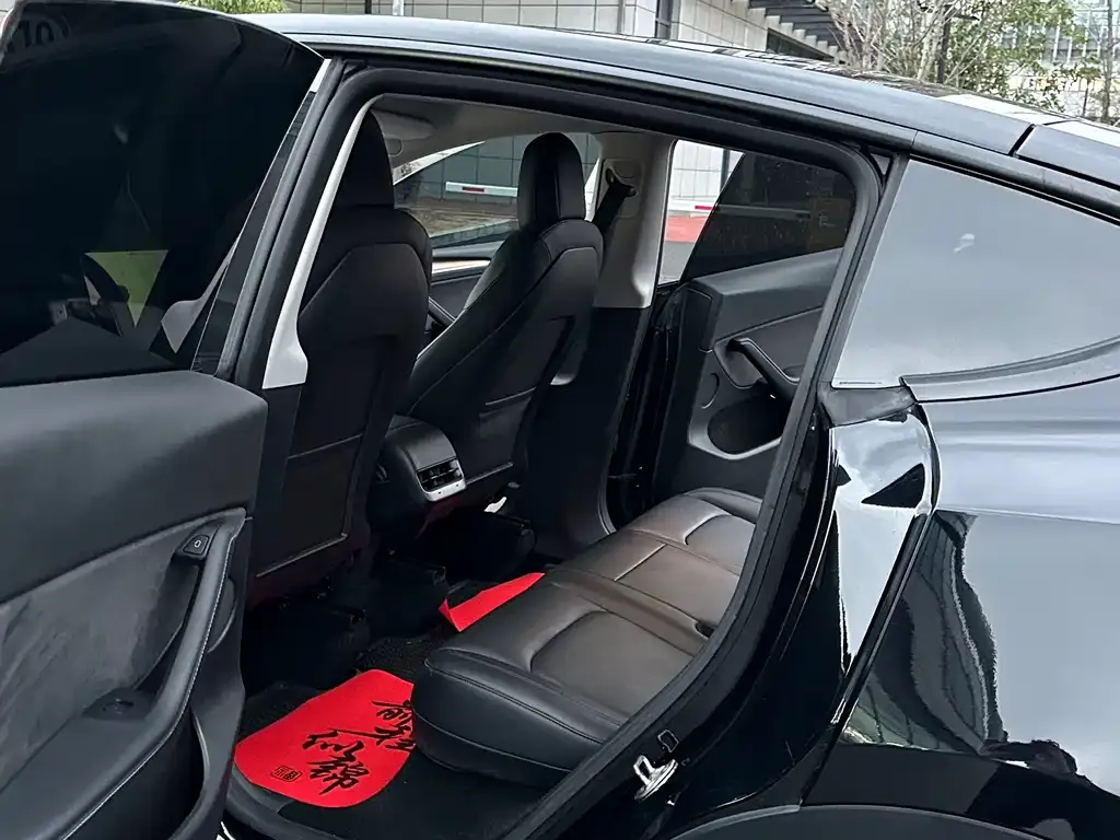 Tesla Model Y 2021 из CN, фото 4
