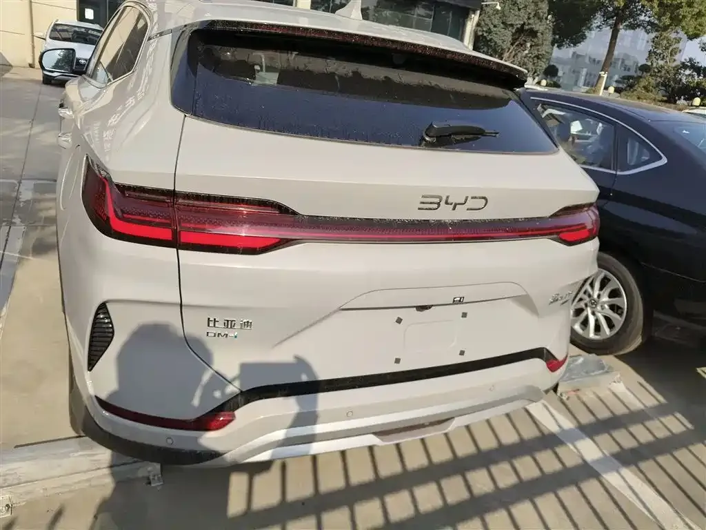 BYD PLUS New Energy — фото 6