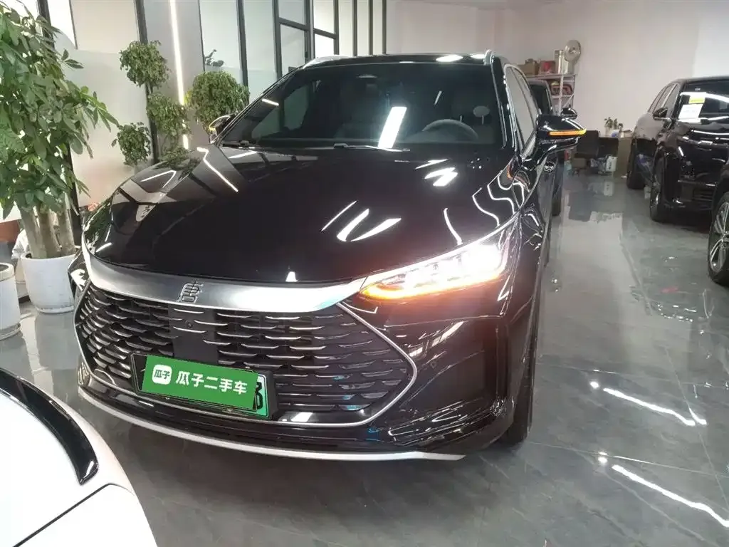 BYD Tang New Energy — фото 10
