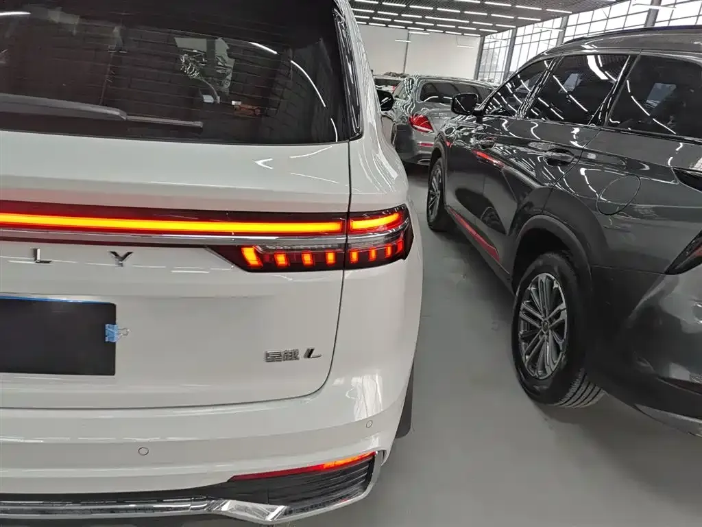 Geely Xingyue L 2022 из CN, фото 3