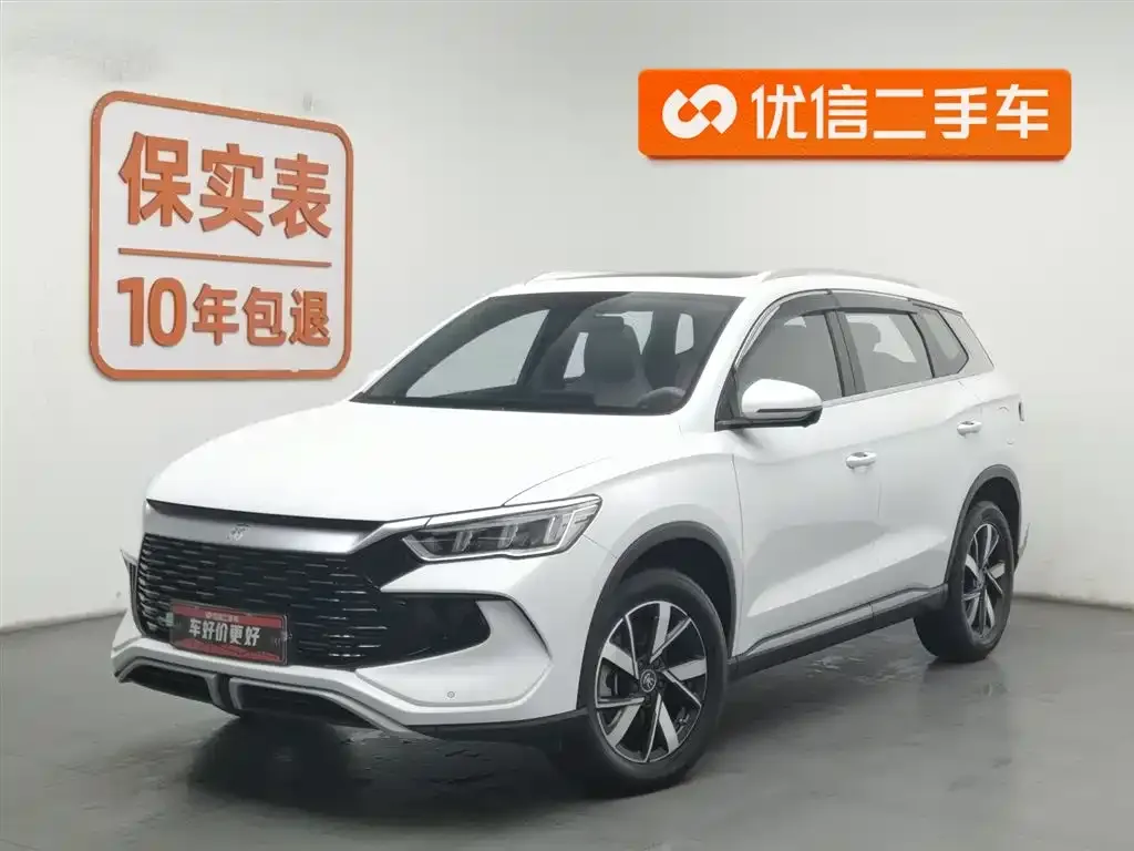 BYD Pro New Energy 2024 из CN, фото 1