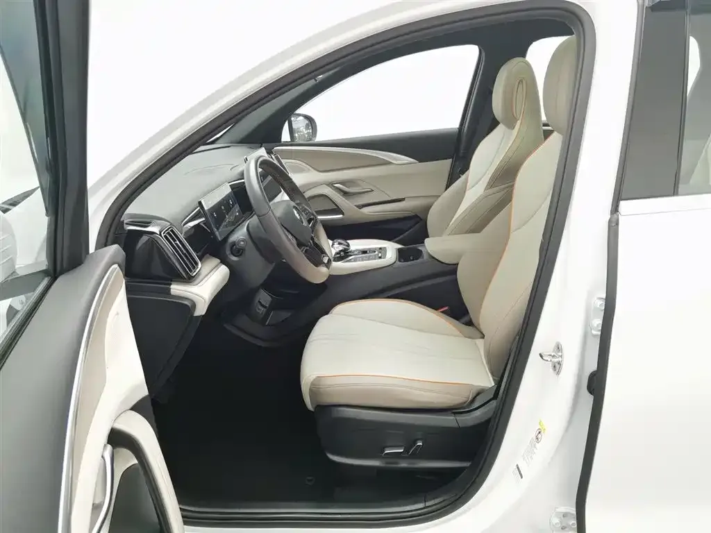 BYD Pro New Energy 2024 из CN, фото 8