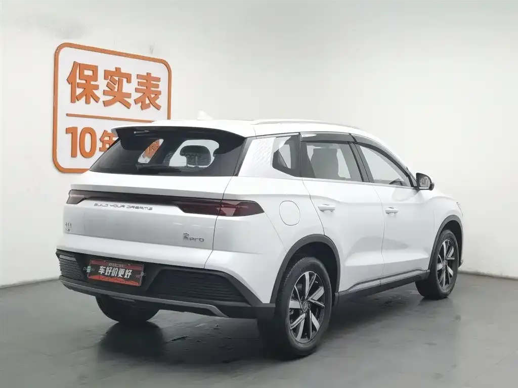 BYD Pro New Energy 2024 из CN, фото 6