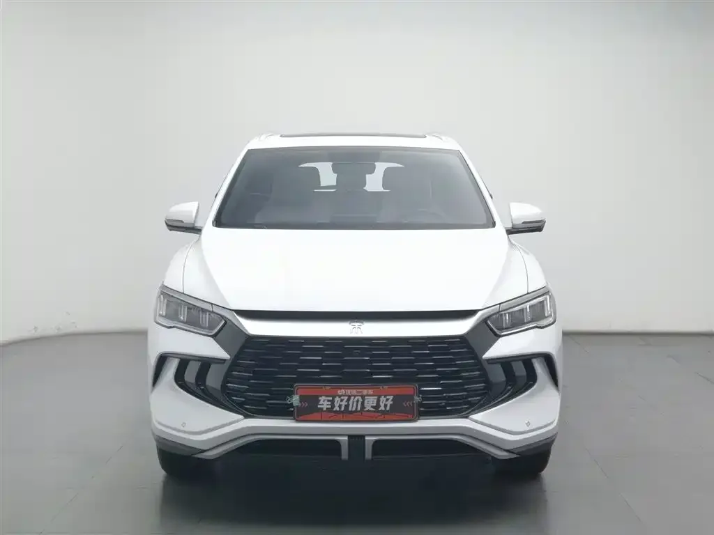 BYD Pro New Energy 2024 из CN, фото 7