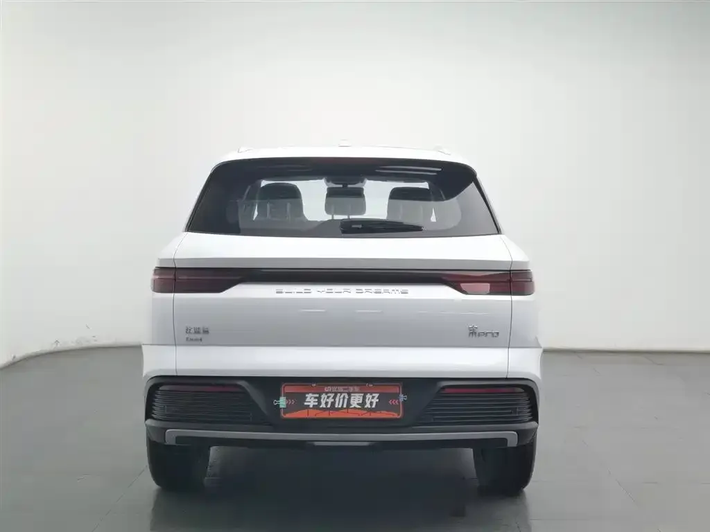 BYD Pro New Energy 2024 из CN, фото 5