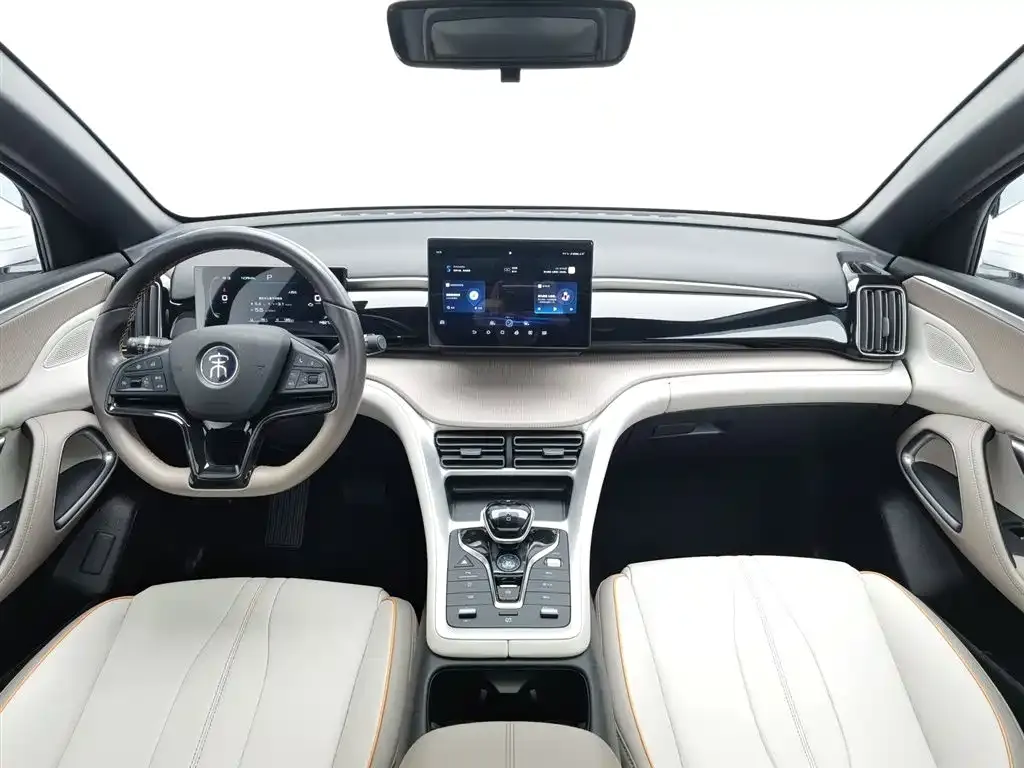 BYD Pro New Energy 2024 из CN, фото 9