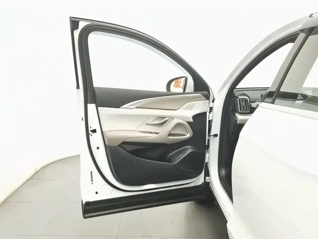 BYD Pro New Energy 2024 из CN, фото 3