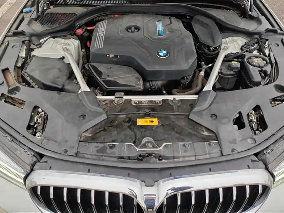 BMW 5 Series New Energy 2021 из CN, фото 8