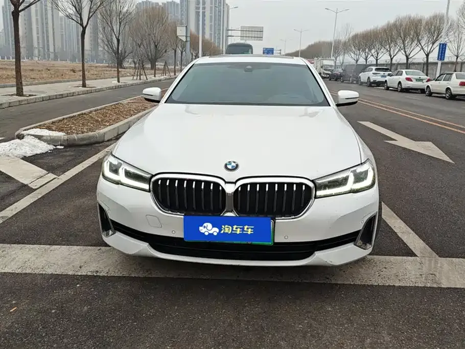 BMW 5 Series New Energy 2021 из CN, фото 2