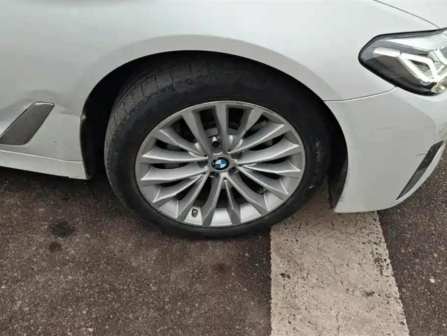 BMW 5 Series New Energy 2021 из CN, фото 10