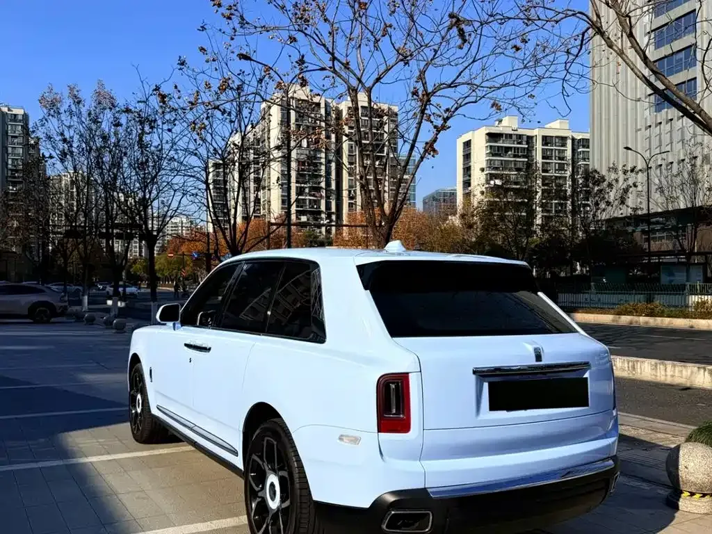 Rolls-Royce Cullinan 2021 из CN, фото 8