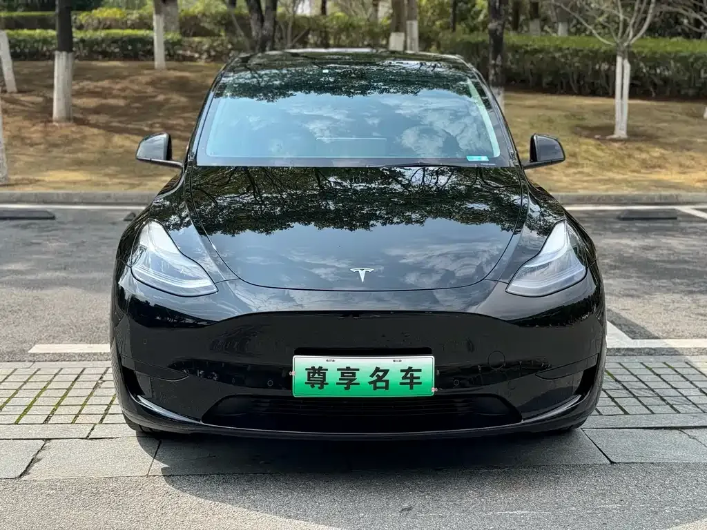 Tesla Model Y — фото 7