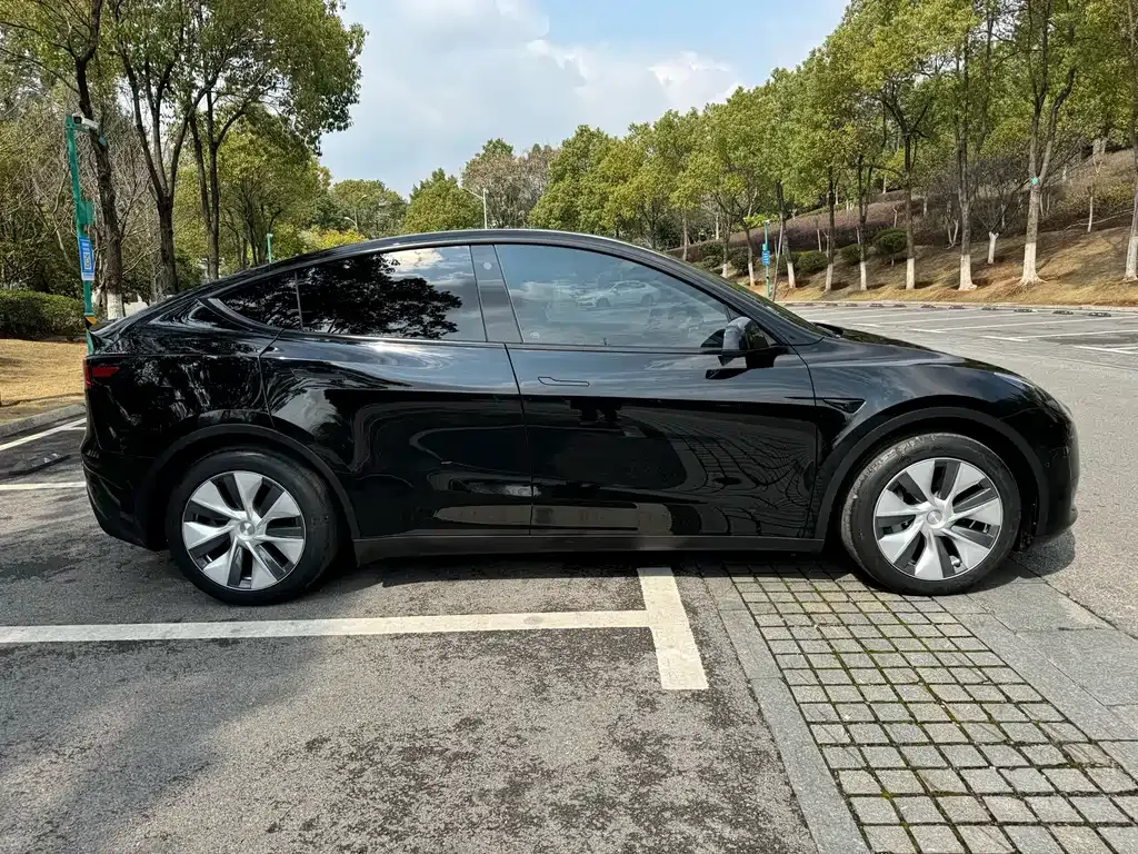 Tesla Model Y — фото 9