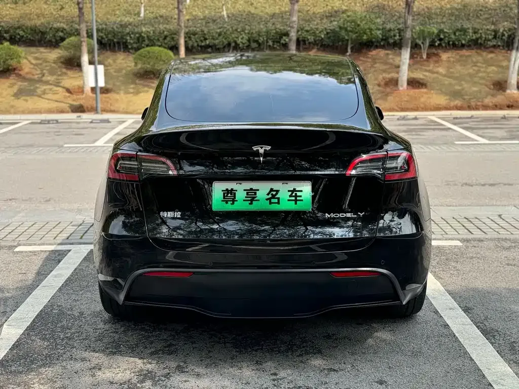 Tesla Model Y — фото 8