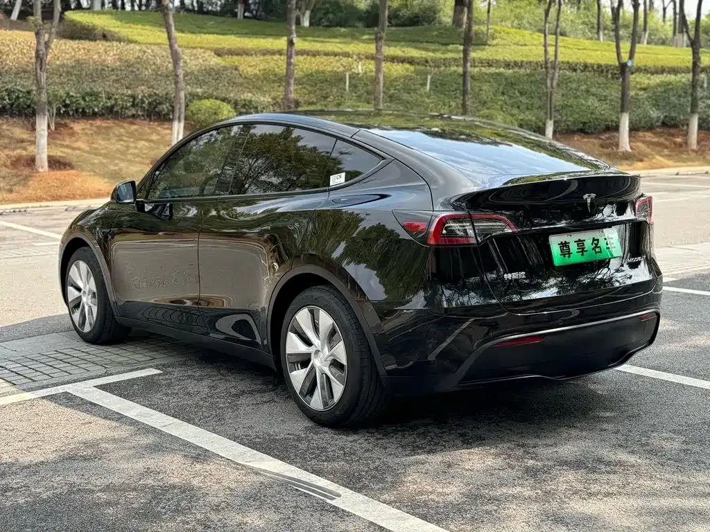 Tesla Model Y — фото 5