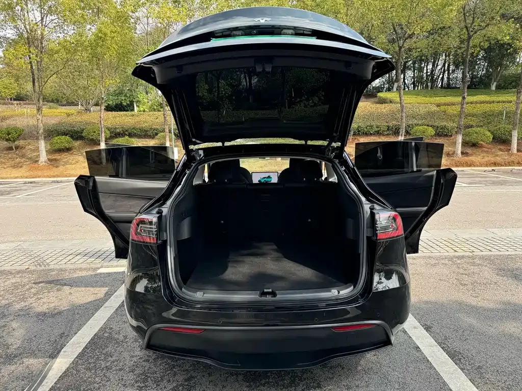 Tesla Model Y — фото 3
