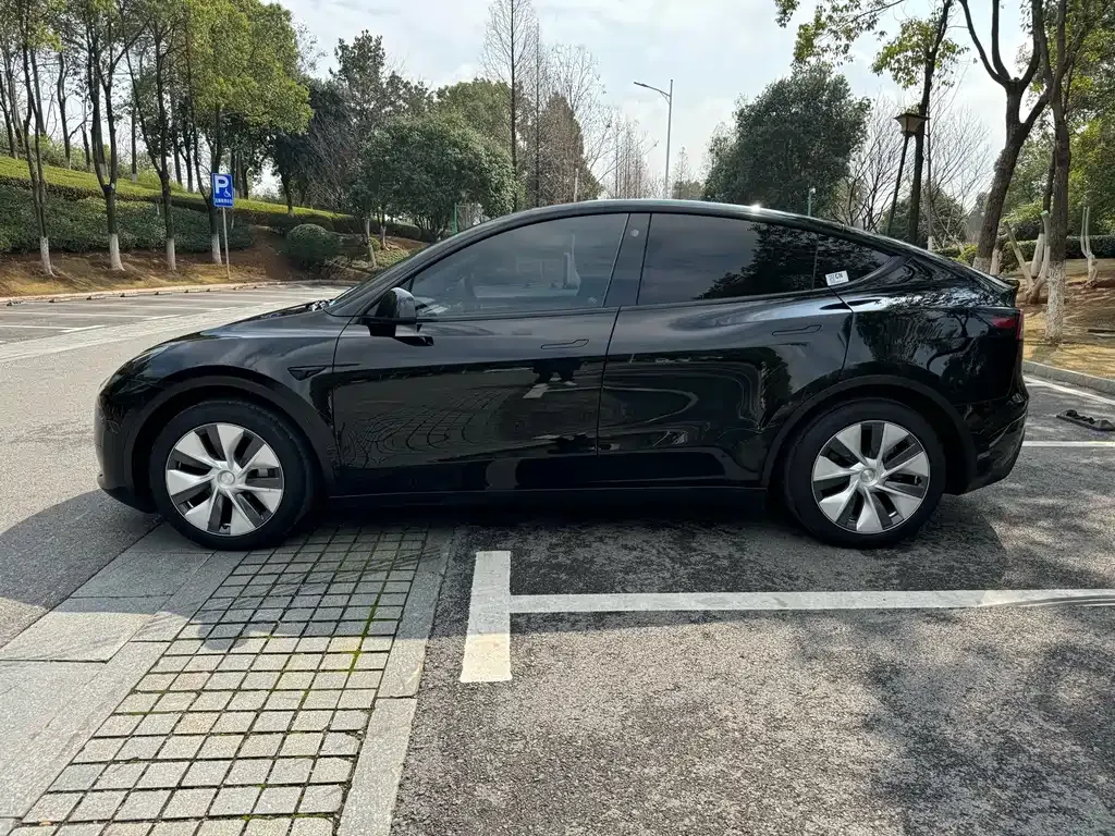 Tesla Model Y — фото 10