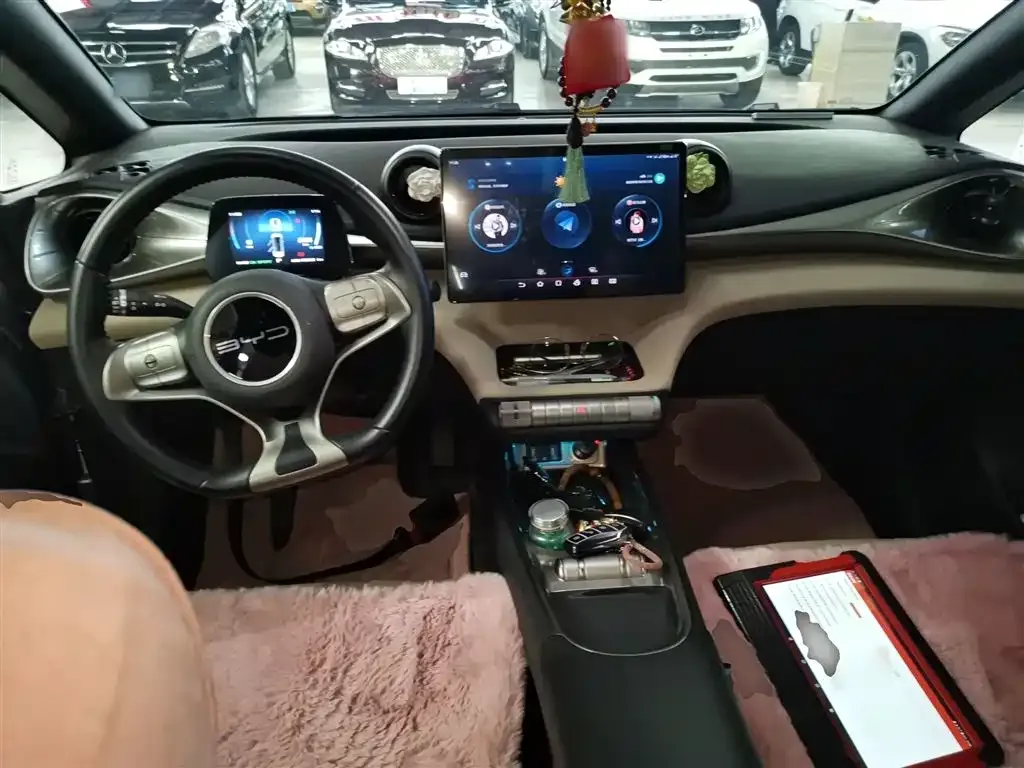 BYD Dolphin 2023 из CN, фото 2