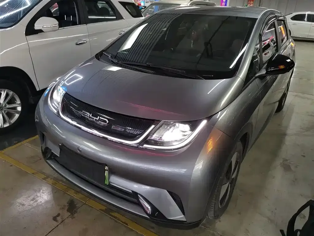 BYD Dolphin 2023 из CN, фото 6