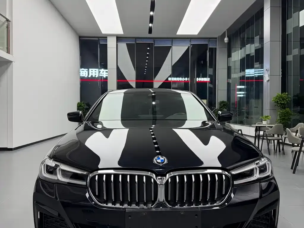 BMW 5 Series 2024 из CN, фото 9