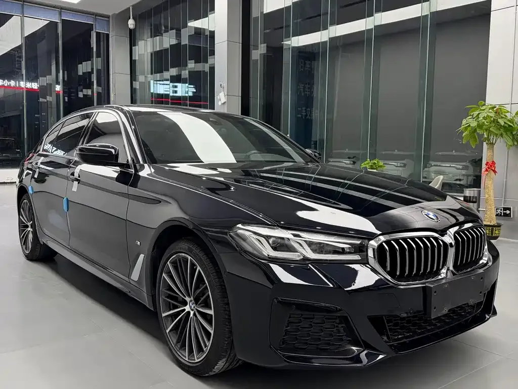 BMW 5 Series 2024 из CN, фото 5
