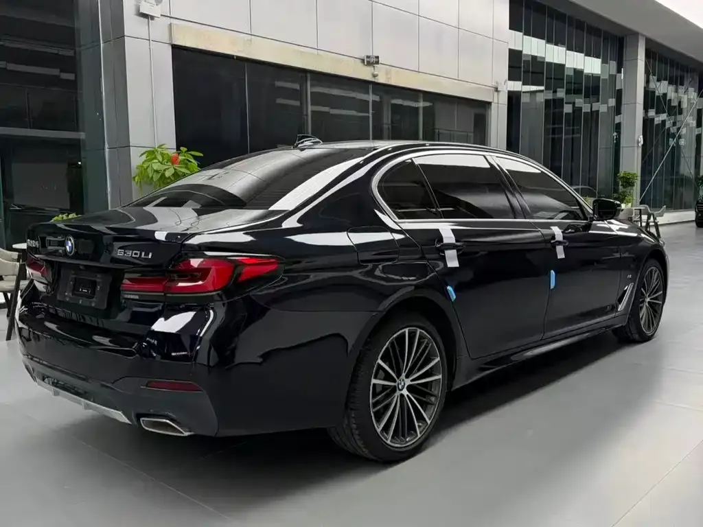 BMW 5 Series 2024 из CN, фото 4