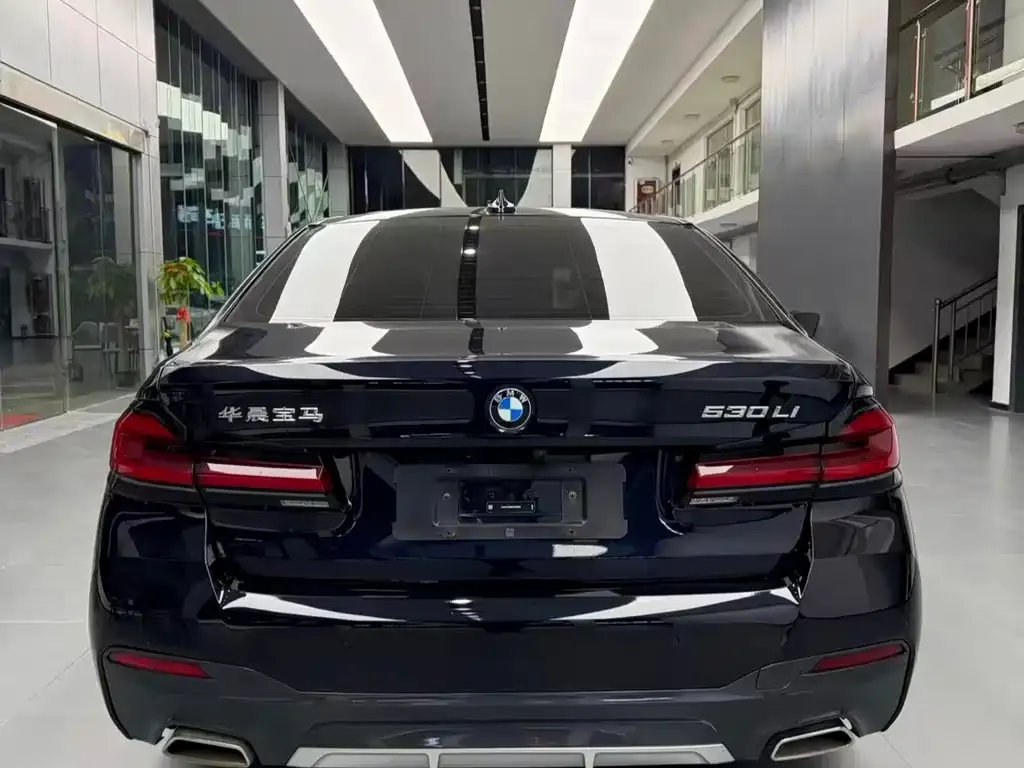 BMW 5 Series 2024 из CN, фото 8