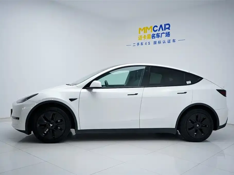 Tesla Model Y 2021 из CN, фото 10