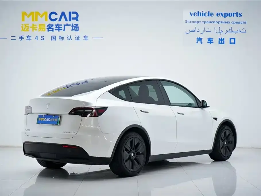 Tesla Model Y 2021 из CN, фото 4