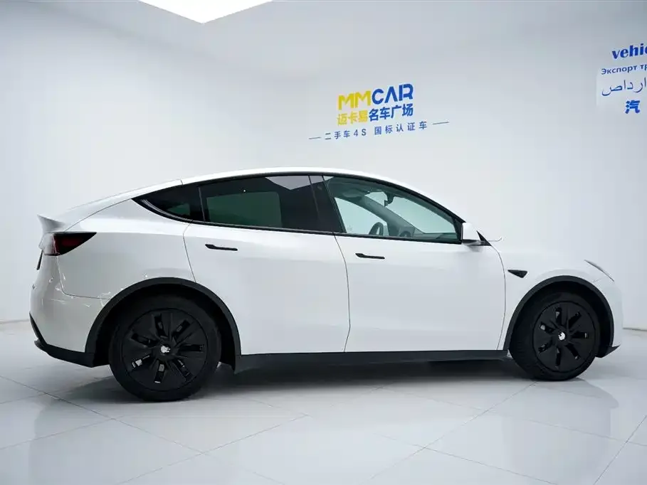Tesla Model Y 2021 из CN, фото 9