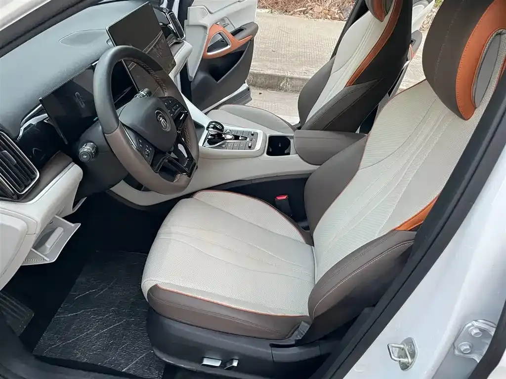 BYD Pro 2023 из CN, фото 6