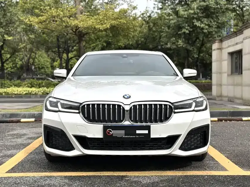BMW 5 Series 2022 из CN, фото 8