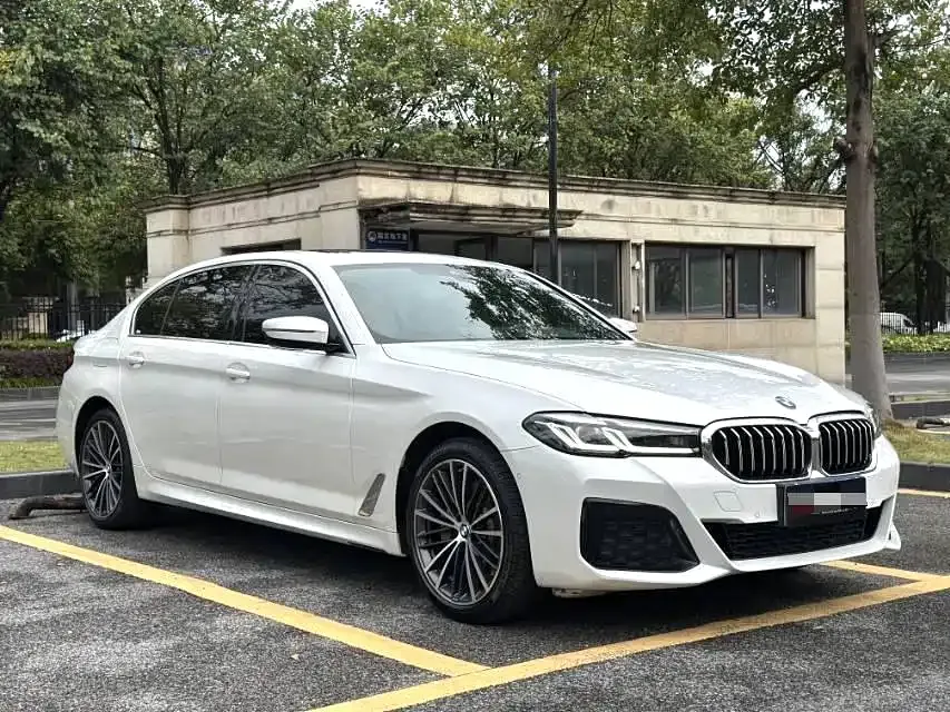 BMW 5 Series 2022 из CN, фото 7
