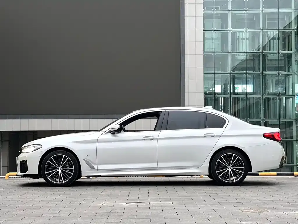 BMW 5 Series 2022 из CN, фото 4