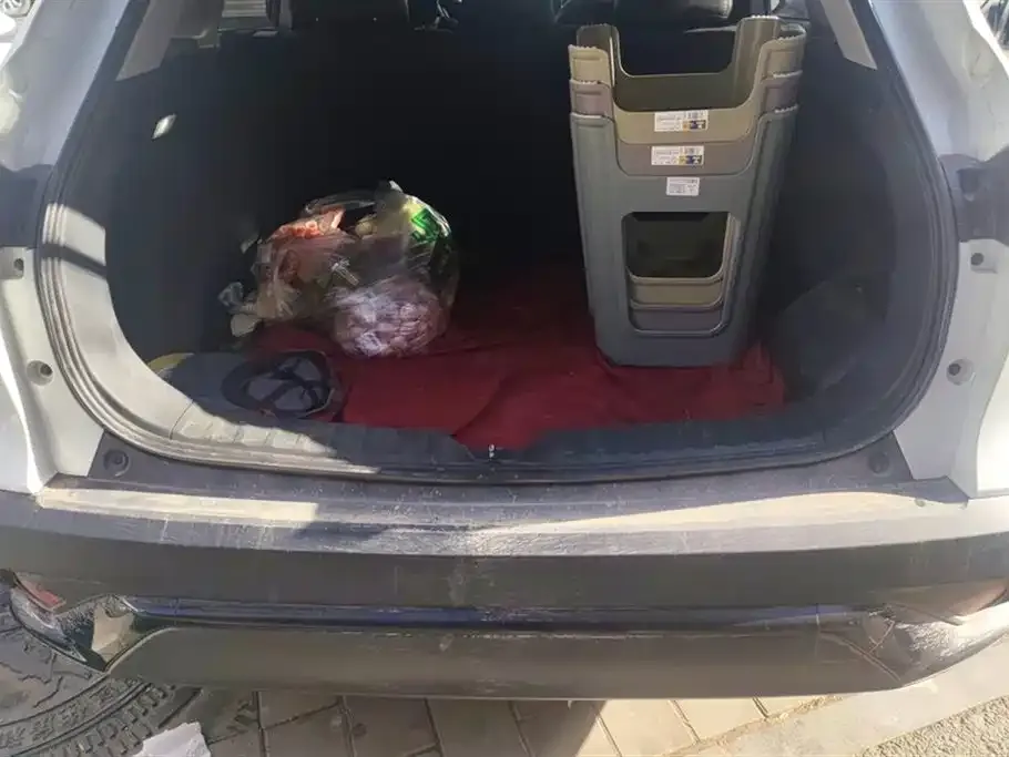 Toyota Frontlander 2024 из CN, фото 4
