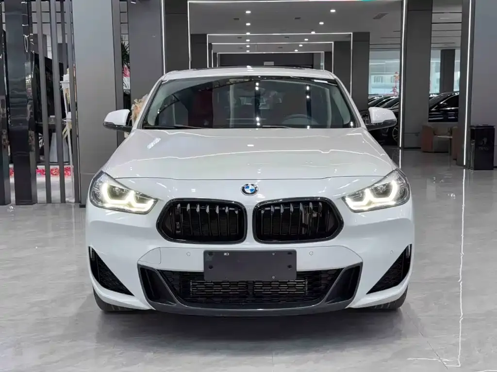 BMW X2 2022 из CN, фото 2