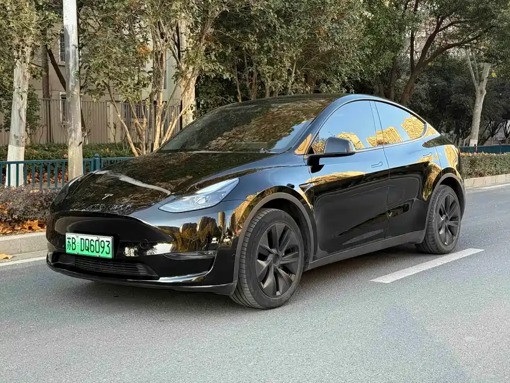 Tesla Model Y 2024 из CN, фото 1