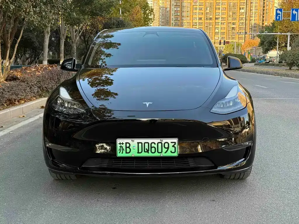 Tesla Model Y 2024 из CN, фото 6