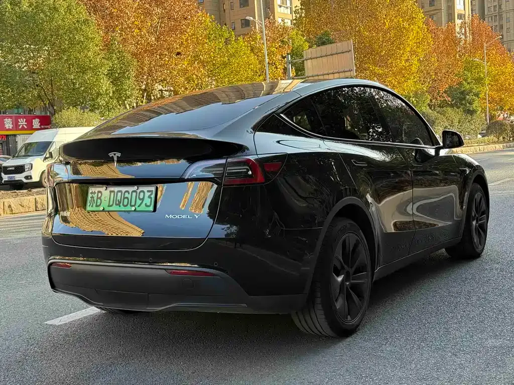 Tesla Model Y 2024 из CN, фото 9