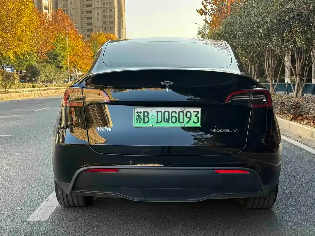 Tesla Model Y 2024 из CN, фото 8
