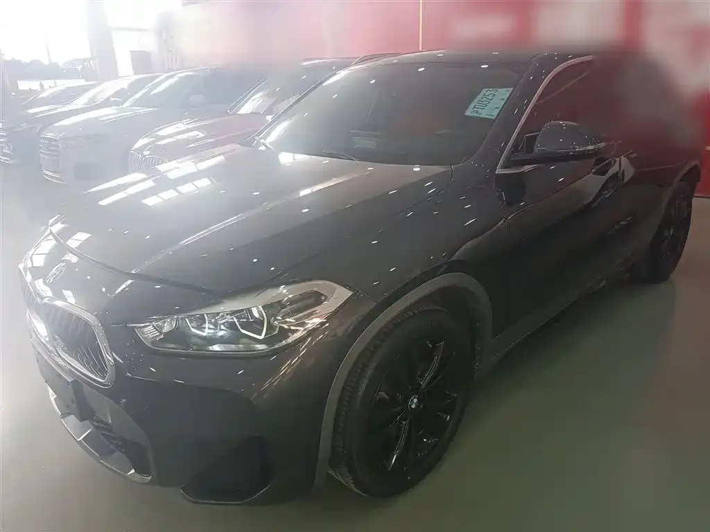 BMW X2 2022 из CN, фото 1