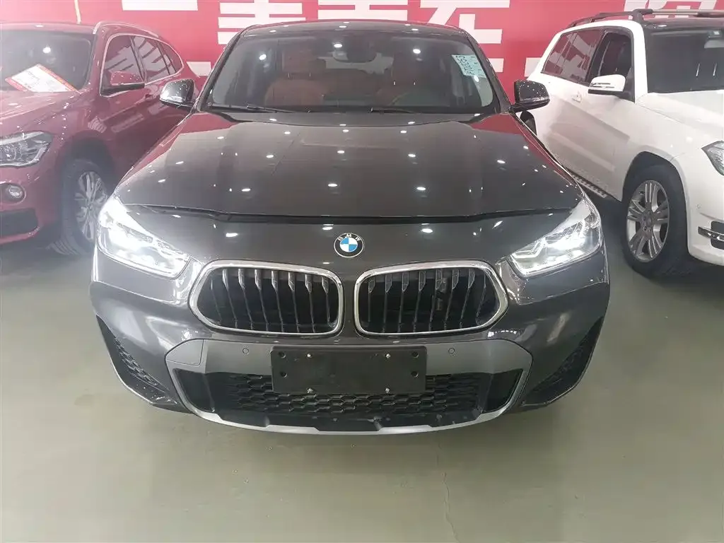 BMW X2 2022 из CN, фото 10