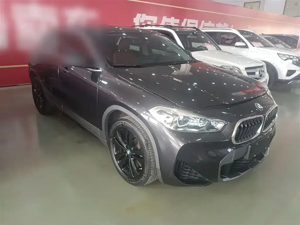 BMW X2 2022 из CN, фото 6
